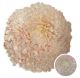 CHRYS DIS PEONY TINTED D096 (LIGHT PINK) VIE 70CM 5 ST